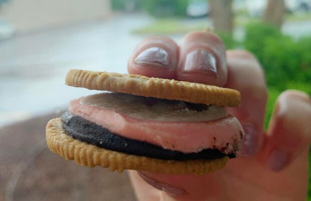 I Tried the NEW Neapolitan Oreos!