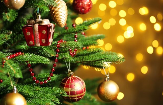 Keep Your Christmas Tree Alive Longer