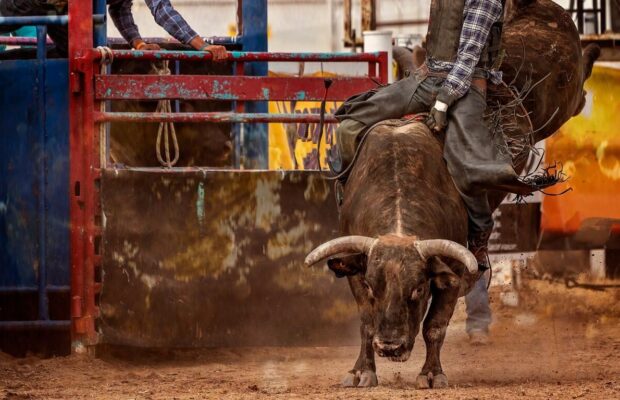 PBR Coming To Clarksville!