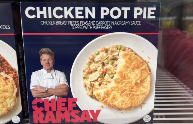 Frozen Fancy Feast Review – Gordon Ramsay’s Chicken Pot Pie