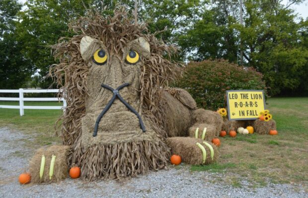 Check out the “Bale Trail” in Christian County!