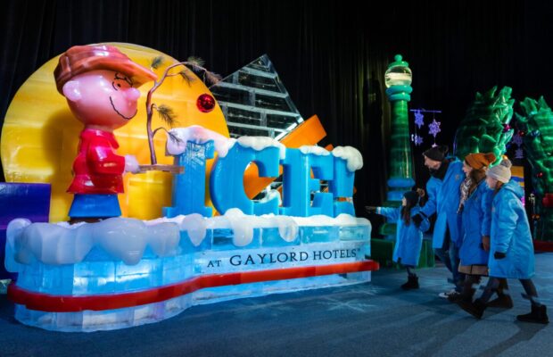 ICE! A Charlie Brown Christmas ICE! A Charlie Brown Christmas